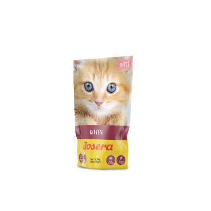 PATÉ KITTEN