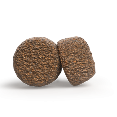 A/S SENIOR SALMON & RICE    sammansättning