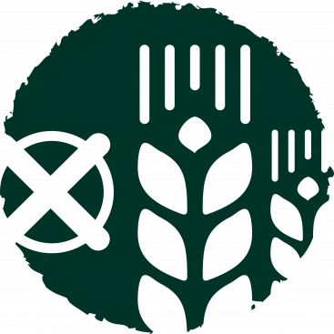 Grainfree