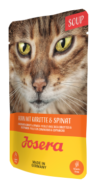 SOPPA KYCKLING MED MOROT&SPENAT