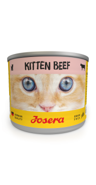 Kitten Beef våtfoder